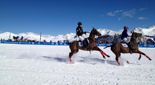 Polo sur neige